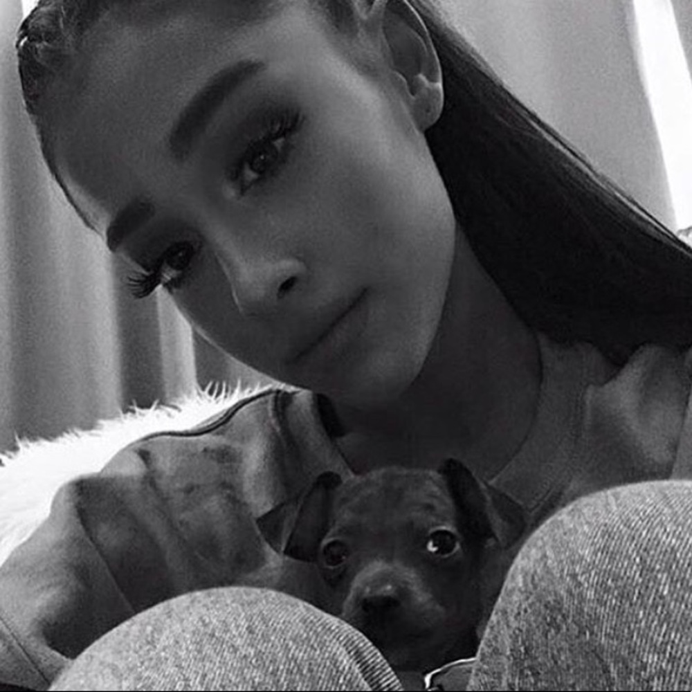 Meet your Posher, Mikhael